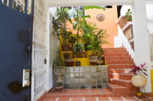 Billede fra billedgalleriet på KAHLO habitacion#1 i Guanajuato