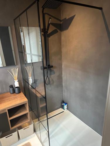 W łazience znajduje się prysznic ze szklanymi drzwiami. w obiekcie Antwerp West Side, TERRACE w mieście Zwijndrecht