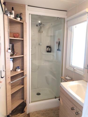 een badkamer met een douche en een wastafel bij Mobilhome 6 personnes Camping Oasis Village 5 étoiles in Puget-sur Argens