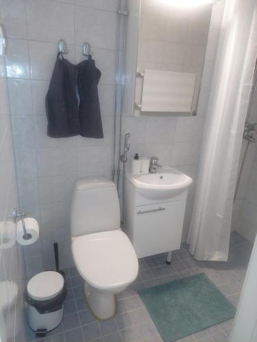 uma casa de banho branca com um WC e um lavatório em Quiet studio - easy check-in, free parking & wifi em Rovaniemi
