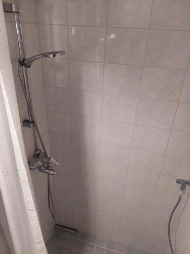 um chuveiro numa casa de banho com uma porta de vidro em Quiet studio - easy check-in, free parking & wifi em Rovaniemi
