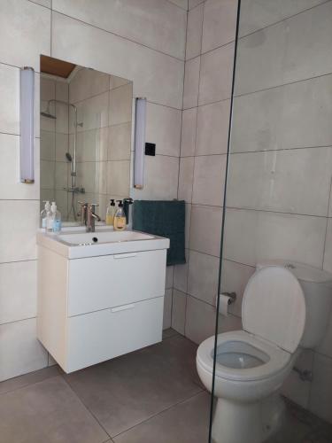 La salle de bains blanche est pourvue de toilettes et d'un lavabo. dans l'établissement Casa Xavier, à Ponta Delgada
