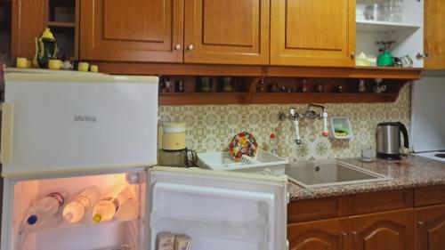 a kitchen with a refrigerator with its door open at O'GERA Greek resort house in the mountains in Kókla