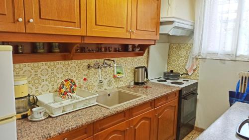 a kitchen with a sink and a stove at O'GERA Greek resort house in the mountains in Kókla