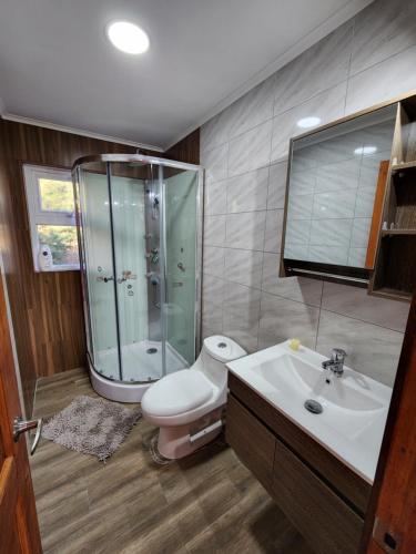 a bathroom with a shower and a toilet and a sink at Casa Cochrane in Cochrane