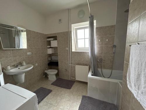 e bagno con doccia, servizi igienici e lavandino. di Apartmán Svítkov 21 a Pardubice