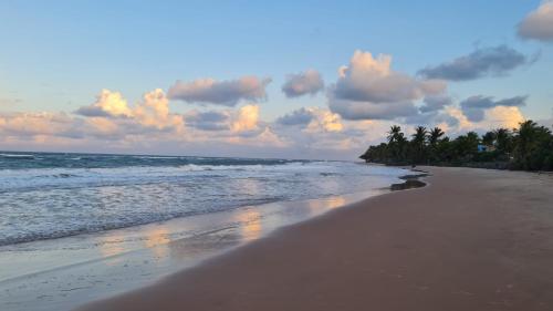 a beach with a few palm trees and the ocean at Kíria's Village Beach House in Marau