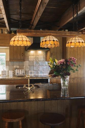 a kitchen with a counter with a vase of flowers at Maggie Deenys Cottage in Lackagh