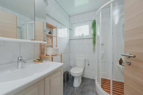 a bathroom with a toilet and a sink and a shower at Chalet Panor'Anna in Saint-Vith