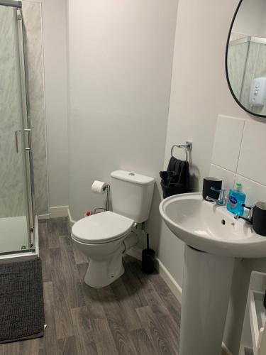 Baño blanco con aseo y lavamanos en Cannock - 2 large bedroom house for work & leisure, en Great Wyrley