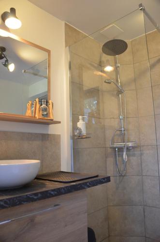 a bathroom with a glass shower and a sink at Chambre d'hôtes jacuzzi L'envol du coquelicot 