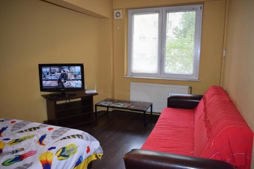 a living room with a red couch and a television at Apartament Transilvaniei RHBM in Baia Mare