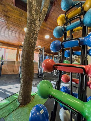 a gym with colorful balls and a tree at Hotel Palazzo Reale in Campos do Jordão