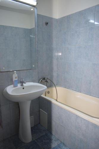 a bathroom with a sink and a bath tub at Apartament Modest Traian RHBM in Baia Mare