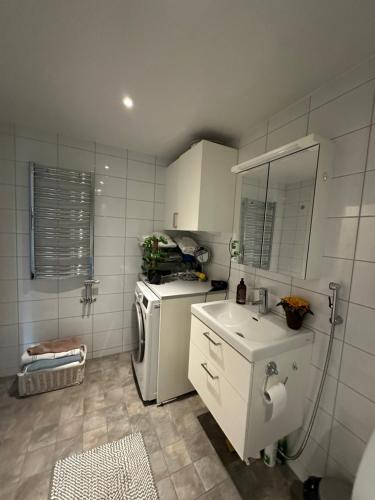 Spacious private room in a shared Vegan Apartment في غوتنبرغ: مطبخ صغير مع ثلاجة ومغسلة