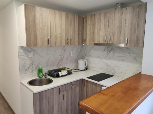 a kitchen with a sink and a counter top at Old Town apartments in Novi Sad