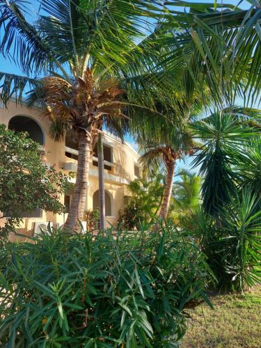 two palm trees in front of a building at Northshore Seaside Suites in Saint Johnʼs