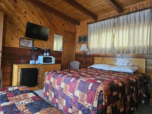 a bedroom with a bed and a tv in a room at Toiyabe Motel in Walker