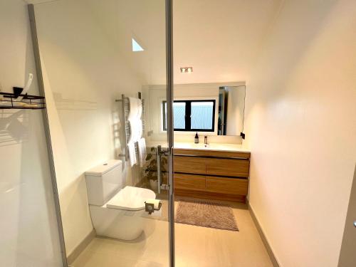 La salle de bains est pourvue de toilettes, d'un lavabo et d'une douche. dans l'établissement The Studio, Whangarei Heads, à Whangarei