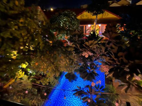 a display of flowers and plants in front of a house at La Belle An Bang Seaside Hideaway in Hoi An