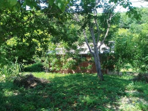 Zahrada ubytování Centro Sati Bungalow
