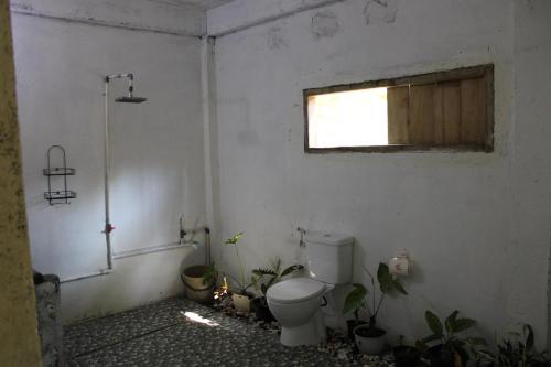 a bathroom with a toilet and plants in it at Feby's Homestay in Ekas