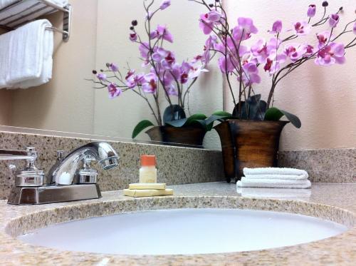 um lavatório de casa de banho com flores roxas e um espelho em The Dixie Hollywood em Los Angeles