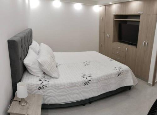 內瓦的住宿－Encantador Apto Con Aire，一间卧室配有一张带白色床单的床和电视。