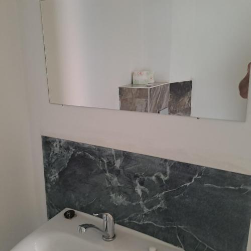 a bathroom with a sink and a mirror at Ubytování u Alfonse Muchy in Mikulov