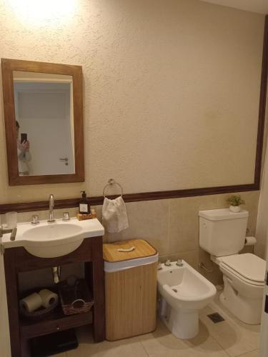 ein Badezimmer mit einem Waschbecken, einem WC und einem Spiegel in der Unterkunft TERRAZAS AL RECONQUISTA in Tigre