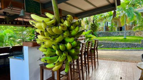 a bunch of bananas hanging from a bunch of chairs at South Mountain Resort in Siquijor