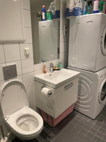 a bathroom with a toilet and a sink and a washing machine at Maria’s place central in Oslo in Oslo