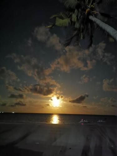 a sunset on the beach with a palm tree at Villa panrangluhu in Bira