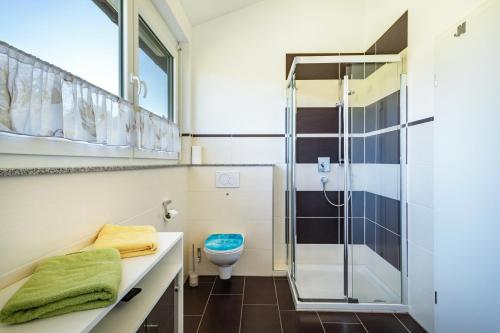 a bathroom with a shower and a toilet at Ferienwohnung Buchmann in Deggenhausertal