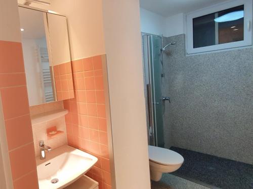 uma casa de banho com um WC, um lavatório e um chuveiro em Das Häusle em Neubulach