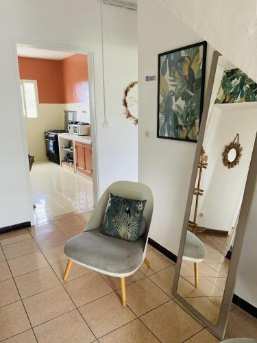 a living room with a chair and a mirror at Le Caillou Blanc in Saint-Paul