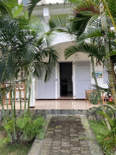 a house with palm trees in front of it at Le Caillou Blanc in Saint-Paul