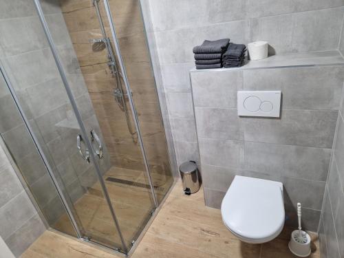 a bathroom with a shower and a toilet at Lipovka in Lipova Lazne