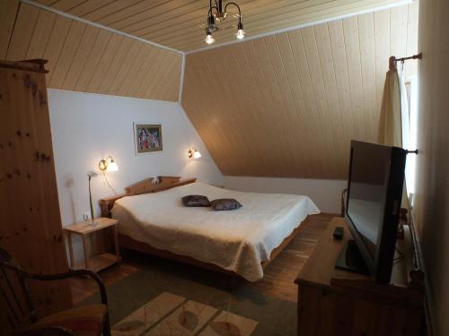 a bedroom with a bed and a flat screen tv at Villa Žvejų 29 in Palanga