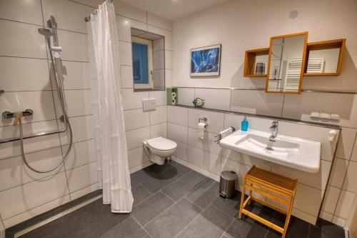 a bathroom with a sink and a shower and a toilet at Zum Alten Wärterhaus in Forbach