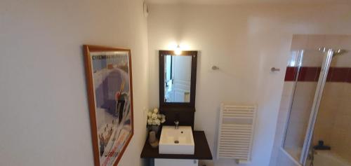 a bathroom with a sink and a mirror and a shower at Le Venasque, T2, centre Luchon, wifi, casier à ski, 4 personnes in Luchon