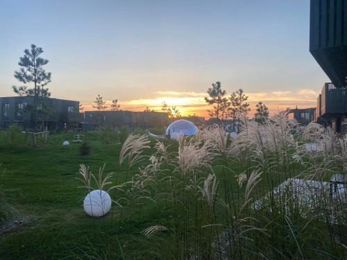 a field with some white balls in the grass at GOLD apartment / Mano jūra 3 in Kunigiškiai