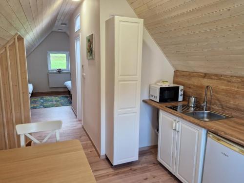 a small kitchen with a sink and a microwave at Lipovka in Lipova Lazne
