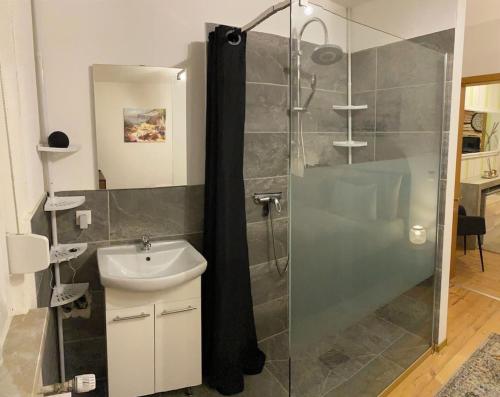 a bathroom with a shower and a sink at Kleines Apartment mit begehbarer Dusche im Schlafzimmer in Eberbach