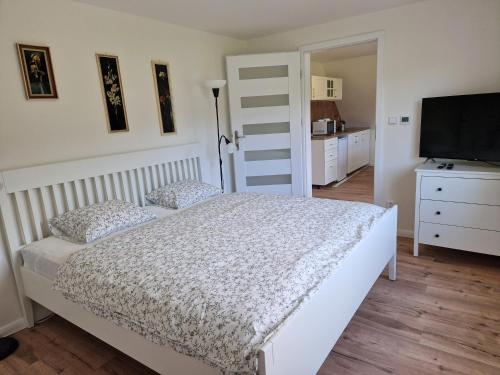 a bedroom with a bed and a flat screen tv at Lipovka in Lipova Lazne