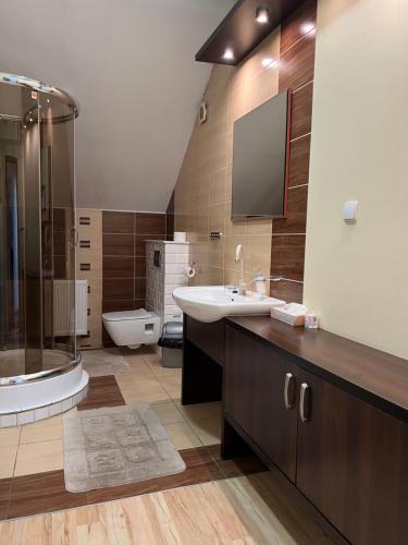 a bathroom with a sink and a shower and a toilet at Apartament Orle Gniazdo in Reda
