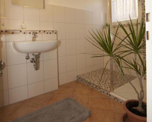 a bathroom with a sink and a potted plant at Haus Rebberg in Wolfach