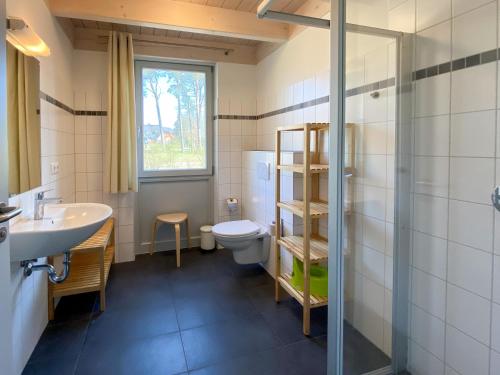 bagno con lavandino, servizi igienici e finestra di Familienhaus Wiesengeflüster W11 - kinderfreundlich und nur 300 m zum Strand a Röbel