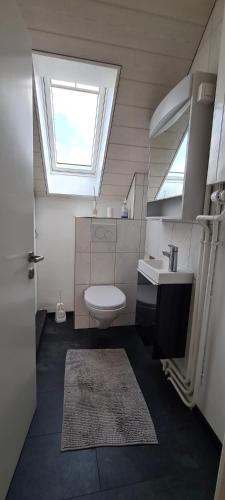 a bathroom with a toilet and a sink and a skylight at Edel Apartments Dulliken in Dulliken