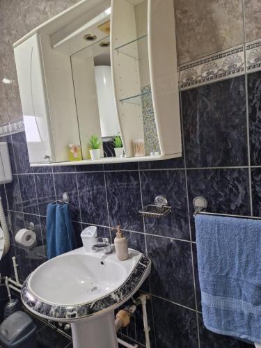 uma casa de banho com um lavatório e um espelho em Prenoćište Mali Raj em Valjevo